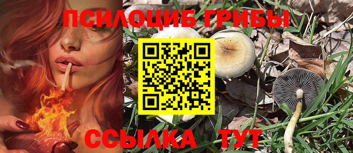 Северодвинск  Галлюциногенные грибы Psilocybine cubensis  Галлюциногенные грибы Psilocybine cubensis  Вход с VPN 